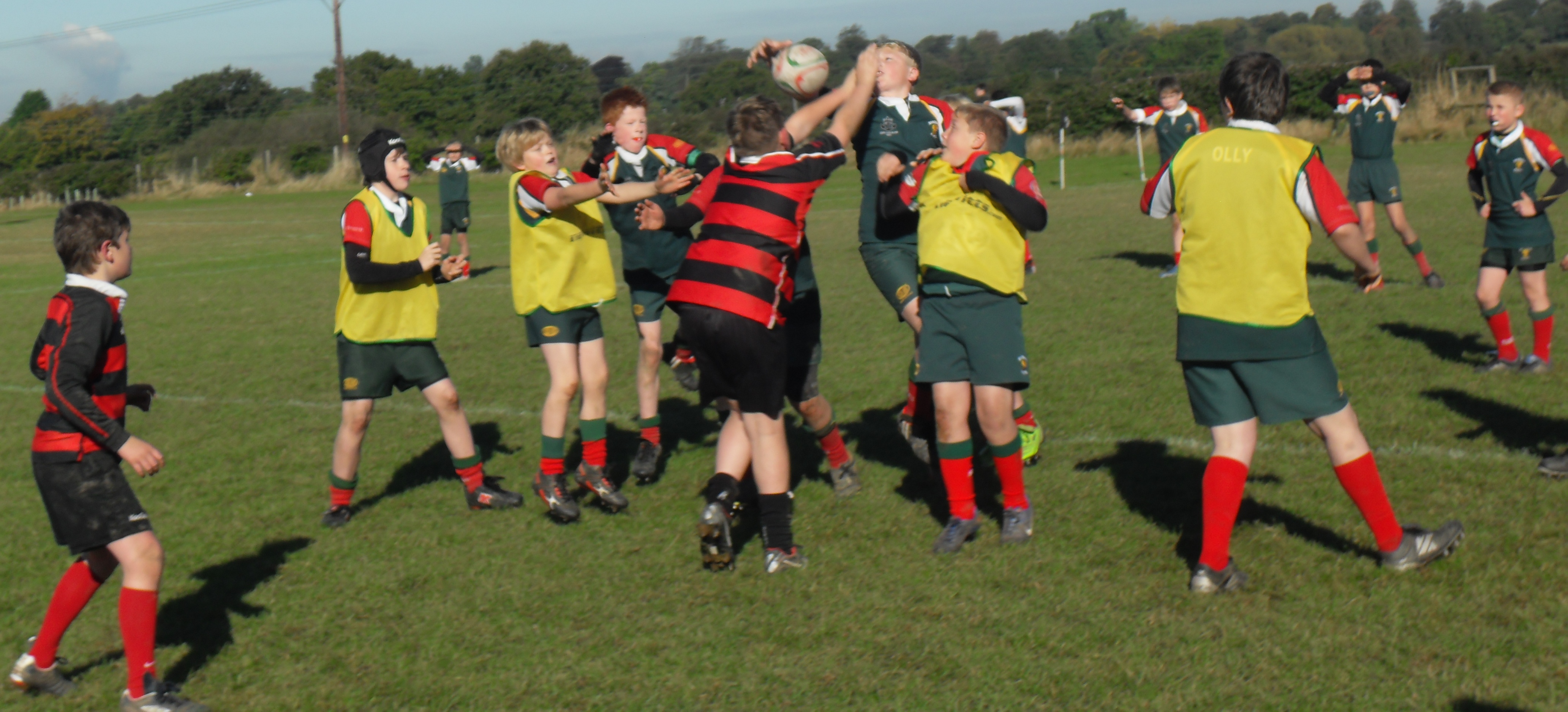Under 12