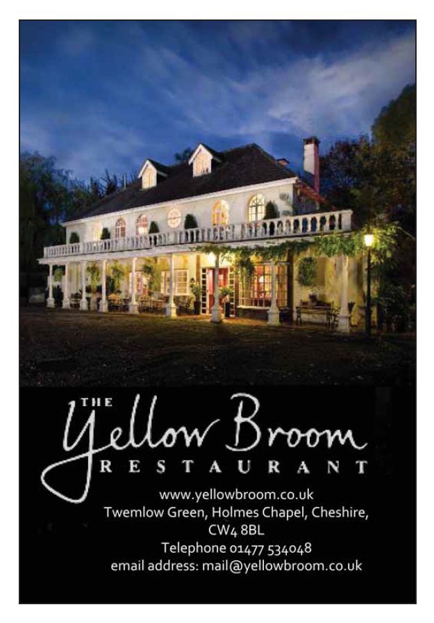 Yellow Broom